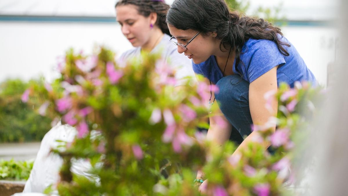 Students Gardening 