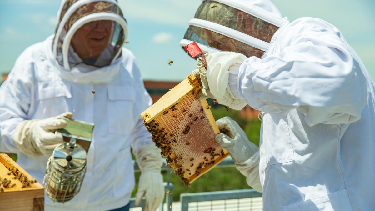 Members of the Bee Alliance with a hive